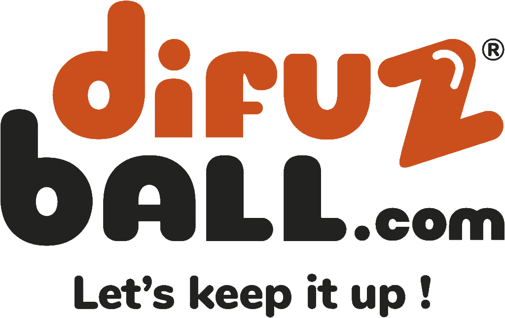 Logo Bicolore du jeu Difuzball